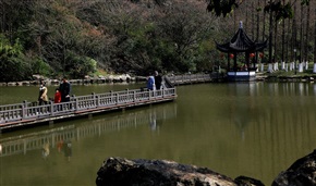 随拍1321
