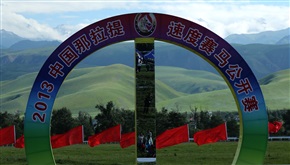 随拍1339