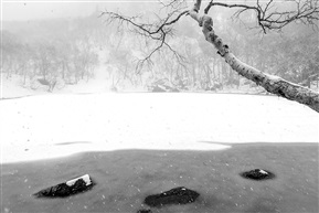 长白山春雪-24