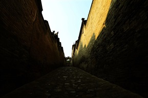 随拍1353