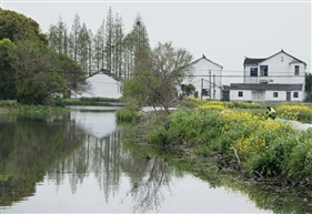 《乡村春色》