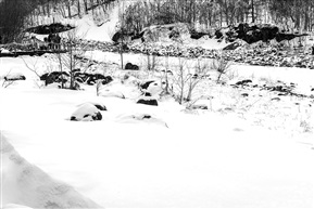长白山春雪-3