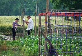 《搭秧架》