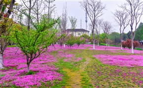 春回大地