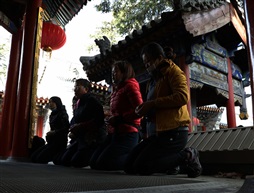 随拍1350