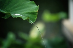 天水