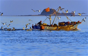 《海归》