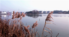 康居乡村