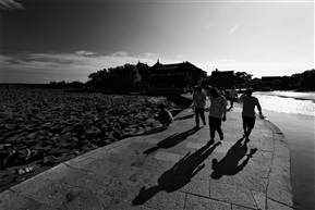 夏日古莲池