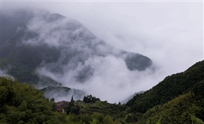 松阳西坑古村