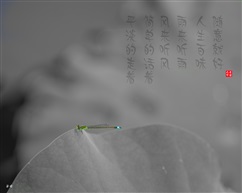 随意就好