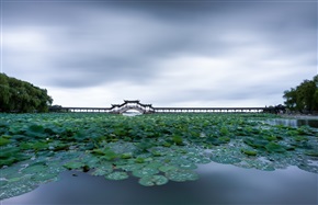 云离风动