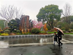 雨后的森林公园