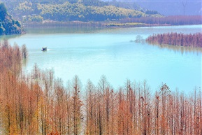 《水墨汀溪》