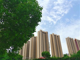云淡风轻