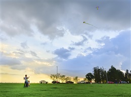 父子的天空