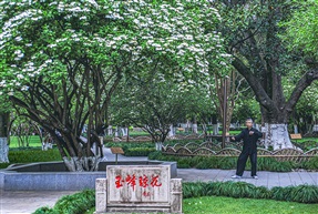《昆山市花》