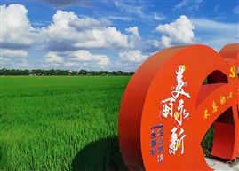 最美永新村