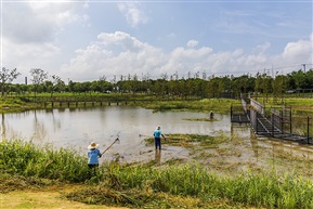 美丽乡村建设者