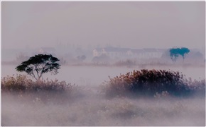 雾里乡村