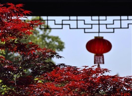 古镇中国红