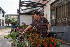 花园人家