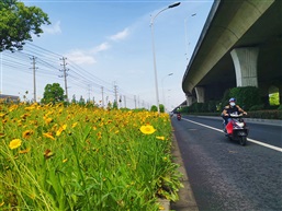 路边的风景