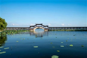 秋意浓