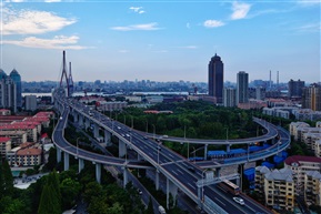 杨浦大桥