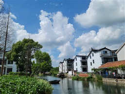 中國水村