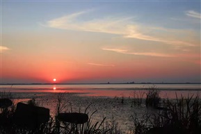 觀夕陽