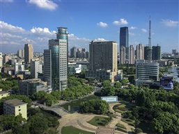 《高楼林立》
