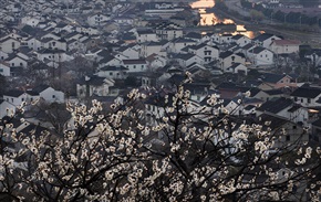 《梅花映照小山村》