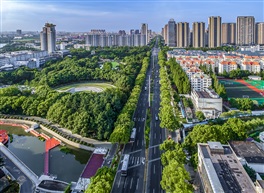 《宜居城市》（1）