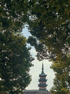 美人塔