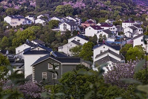 《鲜花丛中有人家》