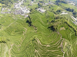 大地的指纹