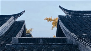 秋·摄