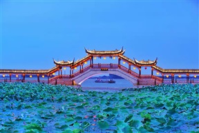 古莲桥