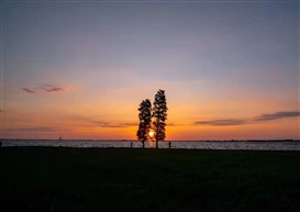 醉美淀山湖