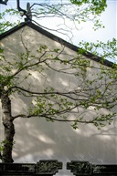 画