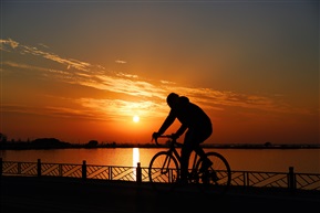 夕阳下