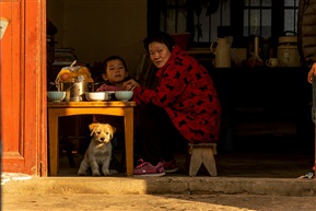 《好奇》