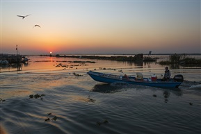 阳澄夕归