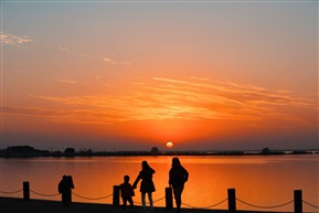 夕阳下