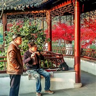 亭林红枫-2