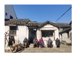 暖阳下