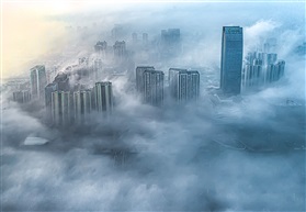 《晨雾》3
