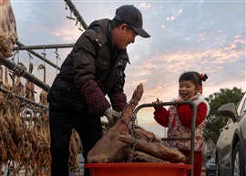 童孙天真晒腌乐