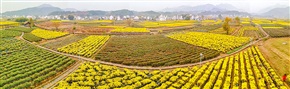 《彩绘大地》